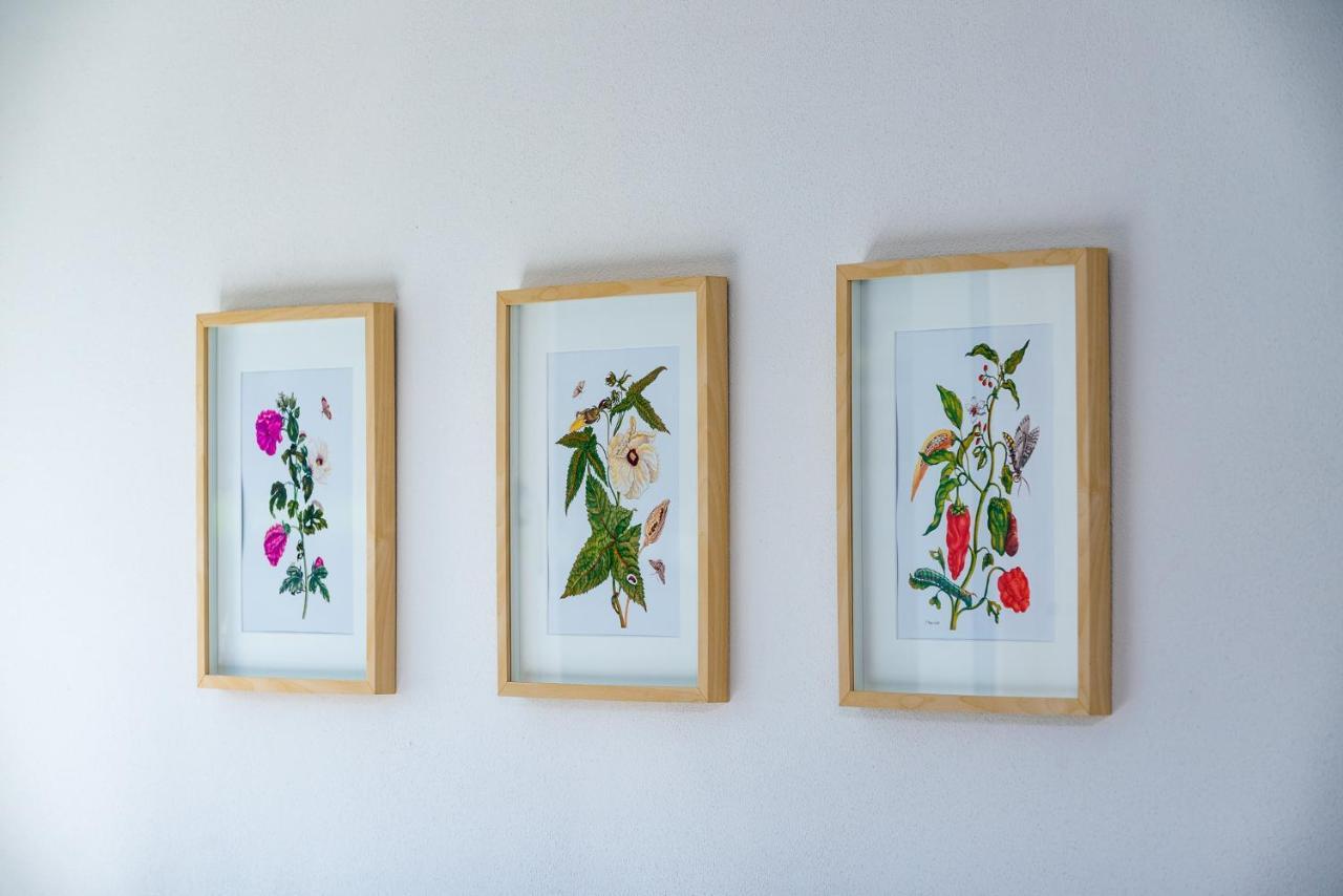 Apartment Le Rose Di Marianne - Ovest Vahrn Eksteriør billede