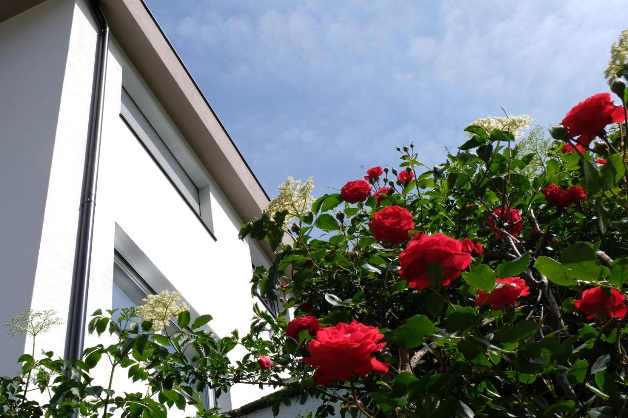 Apartment Le Rose Di Marianne - Ovest Vahrn Eksteriør billede